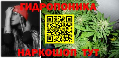 трава Гусиноозёрск
