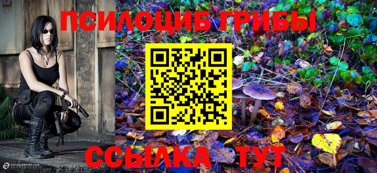 Галлюциногенные грибы прущие грибы  Галлюциногенные грибы MAGIC MUSHROOMS  Кунгур  Вход с VPN 